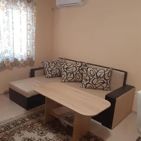 Central Apartment